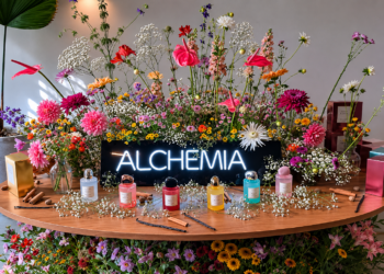 Renner Alchemia