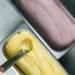 MST inaugura sorveteria com sabores sazonais produzidos a partir de frutas orgânicas