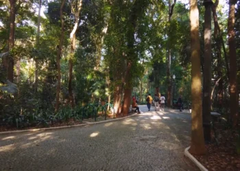 Parque Trianon ganhará restaurante com capacidade para 150 lugares