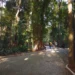 Parque Trianon ganhará restaurante com capacidade para 150 lugares
