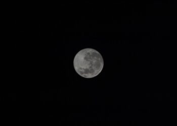 Japão: Ação da ispace dispara com plano de serviço lunar na Starship, da SpaceX