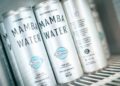 Anvisa proíbe venda de lotes da Mamba Water e energéticos da marca Mister Hemp; saiba mais